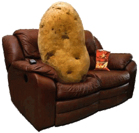 couch-potato-1